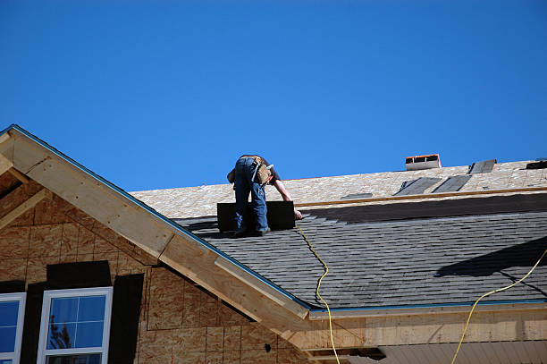 Roof Gutter Cleaning in Sorrento, LA